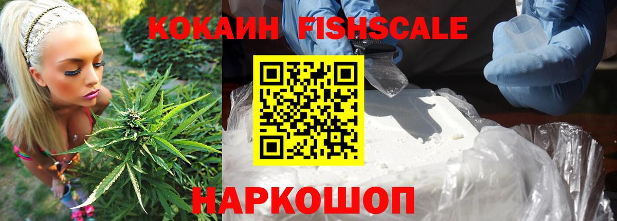 Каменка  COCAIN Fish Scale  купить закладку  Вход с VPN  Cocaine VHQ 