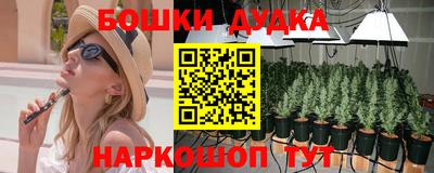 гашик Малгобек