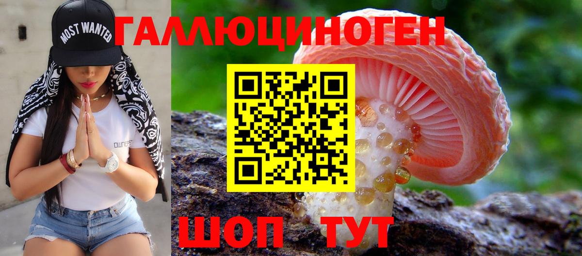 Псилоцибиновые грибы Cubensis  Вход с VPN  Каменка  Псилоцибиновые грибы мицелий 