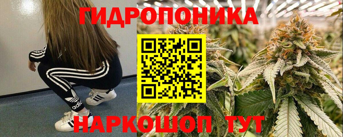 Канабис семена  Канабис VHQ  Каменка  Бошки марихуана Ganja  Вход с VPN 
